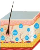 Bőr revitalizáció Kapuváron – hidrogénes kezelés során keletkező víz és hidratálás