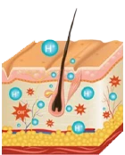 Hydra H2 hidrogén kezelés Kapuváron – bőr vitalizálás és antioxidáns hatás